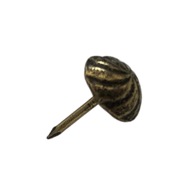 11mm Aster Decorative Upholstery Nail